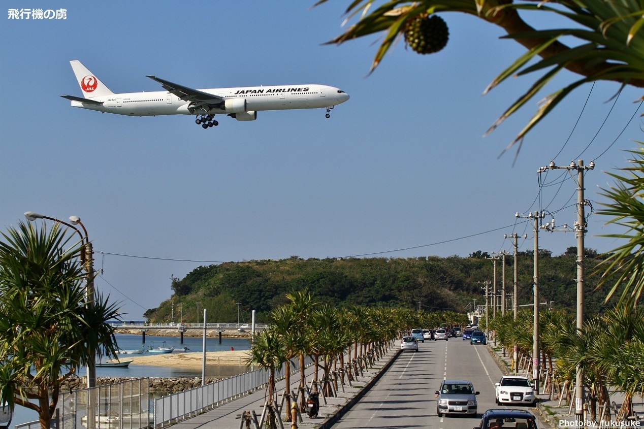 沖縄の冬景色　タコノキと777_b0313338_17295062.jpg