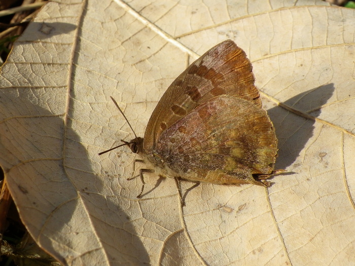 d0254540_1255108.jpg
