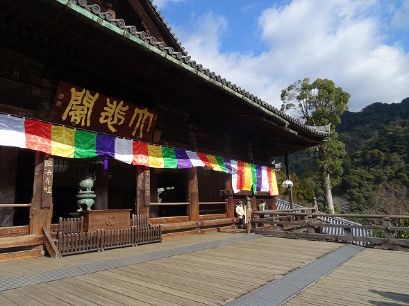 長谷寺の冬ぼたん_b0299042_11302794.jpg