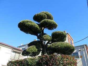 c0247346_10005189.jpg