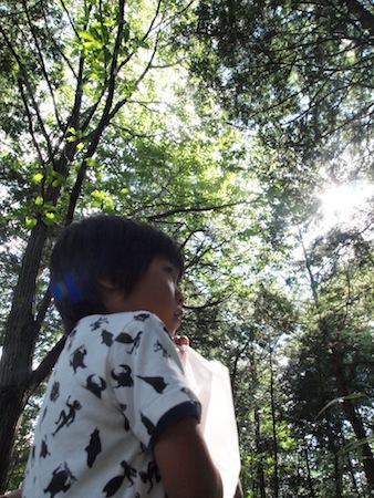 秋の収穫際♪_a0335560_02554493.jpg