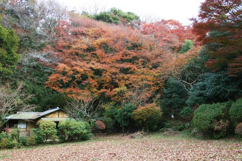 2・14早春の北鎌倉の里山を歩こう　六国見山－明月荘コース_c0014967_1128458.jpg