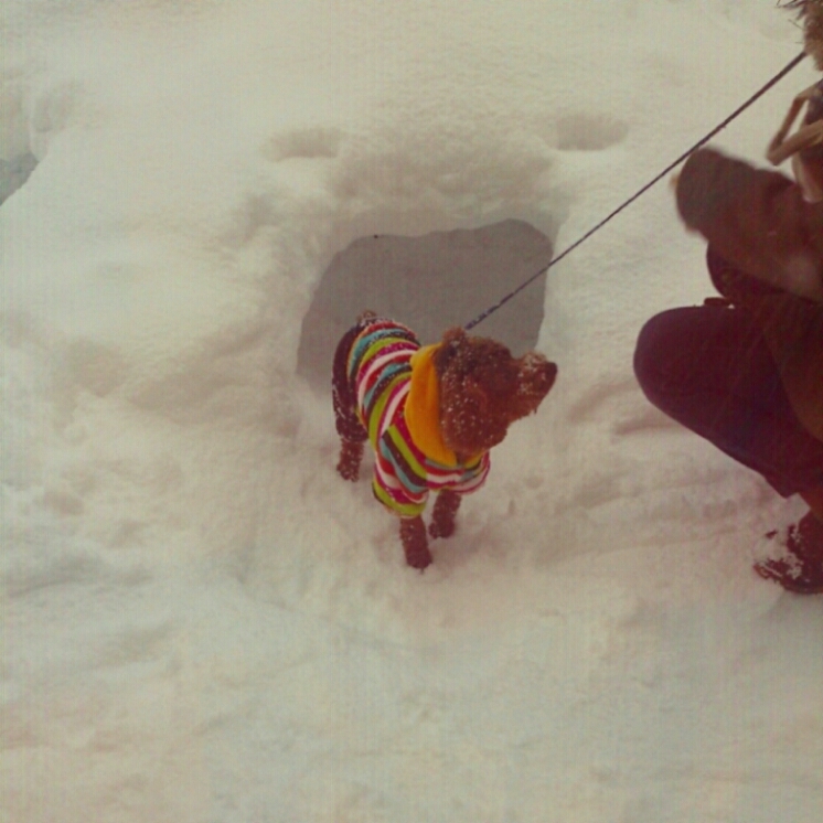 c0311170_1658121.jpg