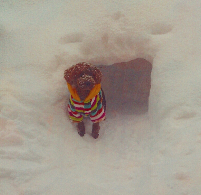 c0311170_1744572.jpg