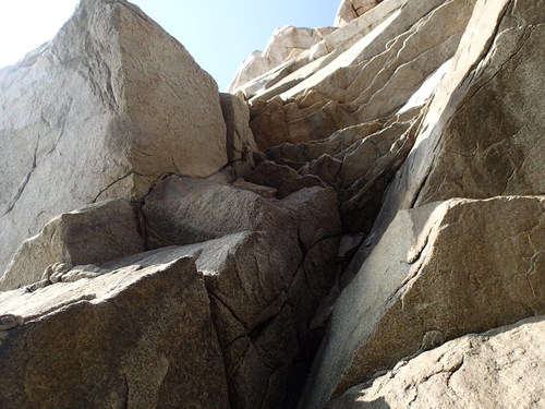f0223480_950492.jpg