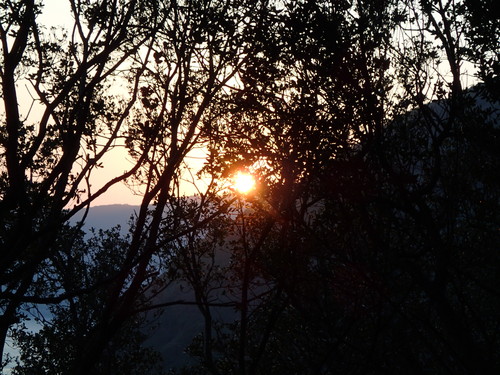 f0223480_955086.jpg