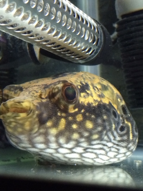 e0094589_08381691.jpg