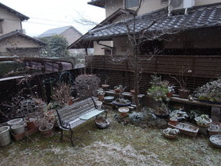 a0137192_21431037.jpg