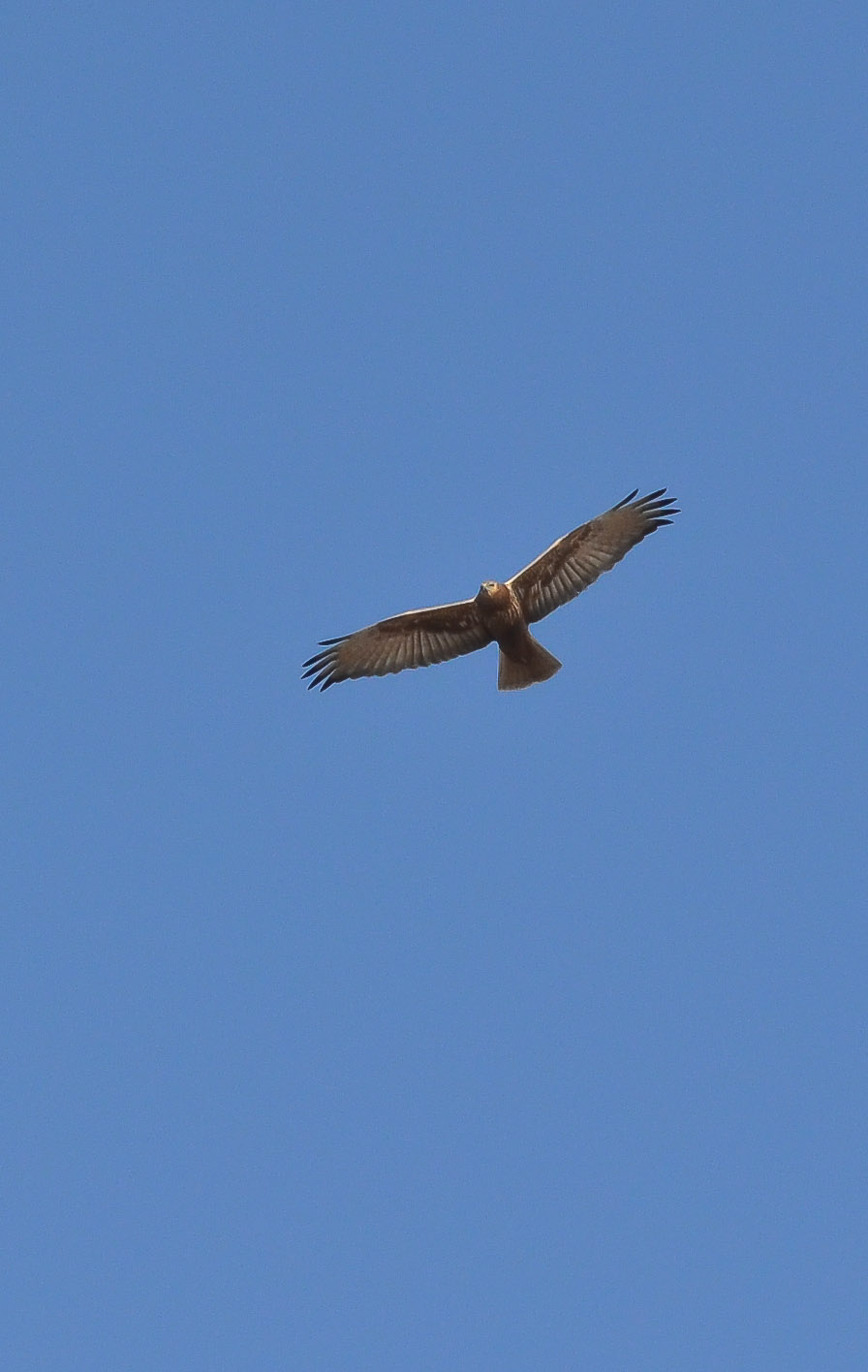 b0078795_2055557.jpg