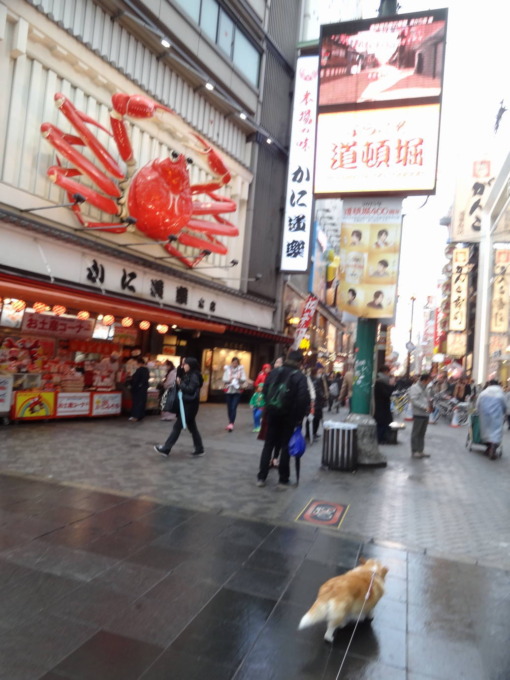 f0075595_00284431.jpg