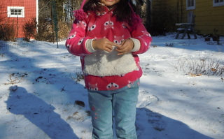 d0103098_74326.jpg