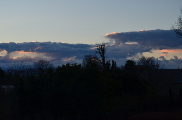 a0288500_12562593.jpg