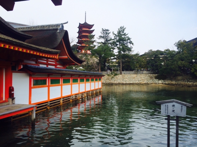 a0050302_14271563.jpg