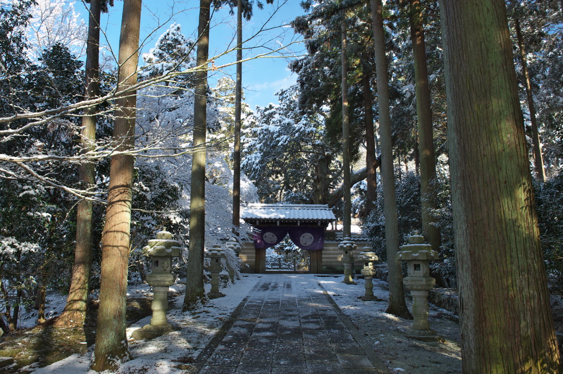 新年早々に雪が降った日の大智寺の光景を撮りました_f0000502_11262932.jpg