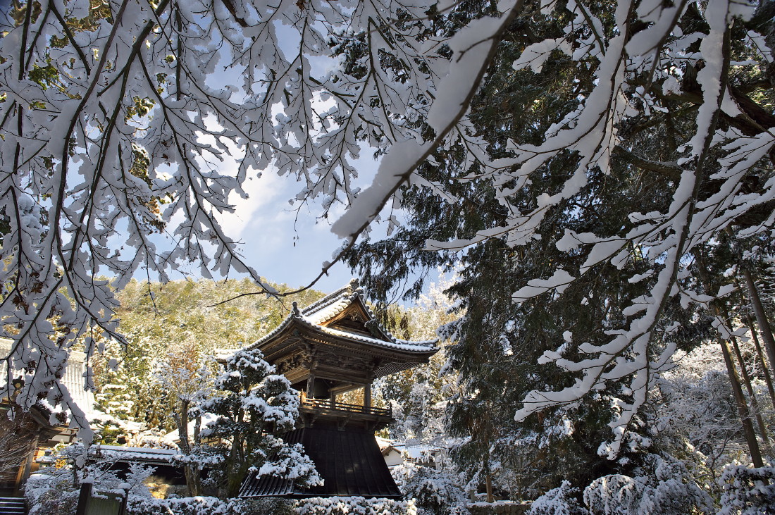 新年早々に雪が降った日の大智寺の光景を撮りました_f0000502_1129127.jpg