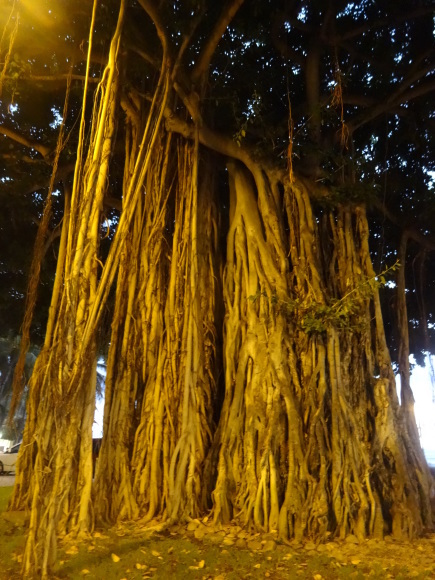 e0256814_13133655.jpg