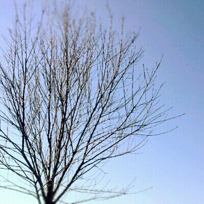 c0307615_20582542.jpg