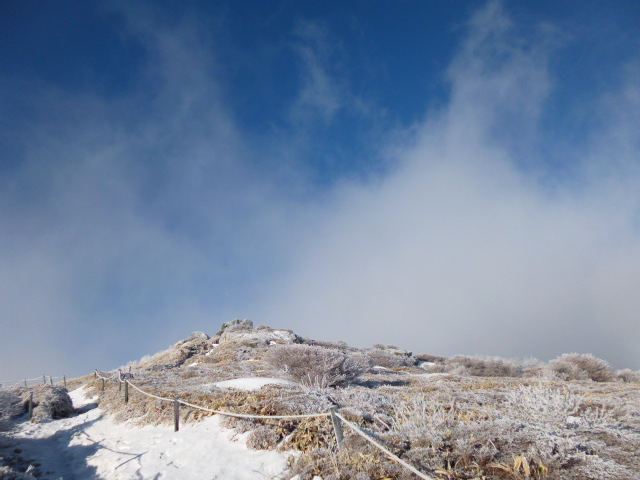 a0220528_13461065.jpg