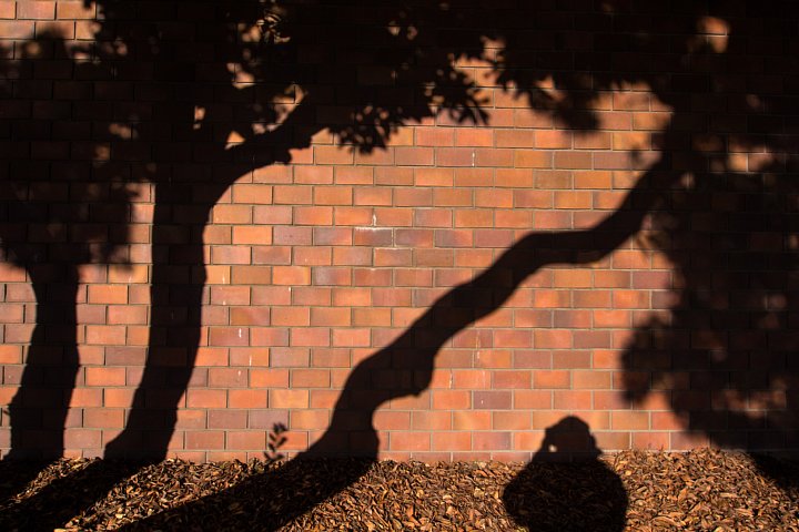 b0134829_16244966.jpg