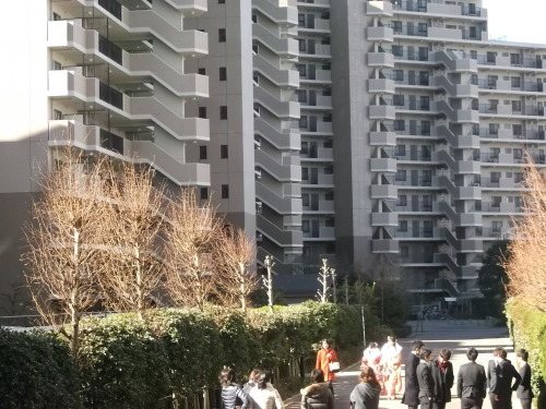 大磯の左義長...無病息災を願い!_b0137932_13592021.jpg