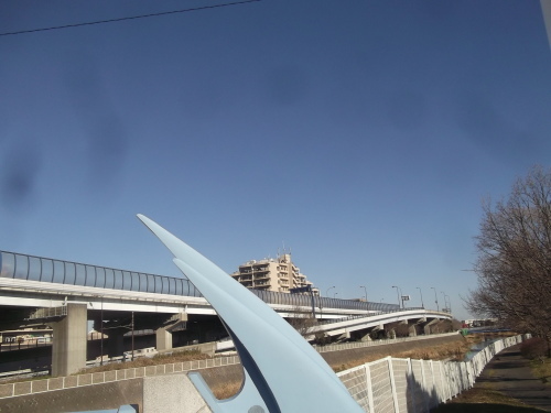 梅は咲いたか~桜はまだかいな~_b0137932_21280874.jpg