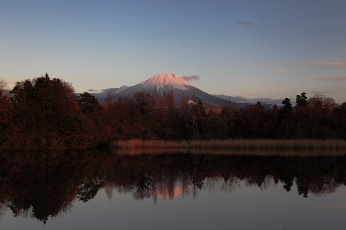 夕暮れ時_a0294534_15563529.jpg