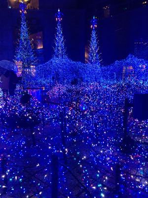 クリスマス前の東京 1日目_e0048035_10535656.jpg