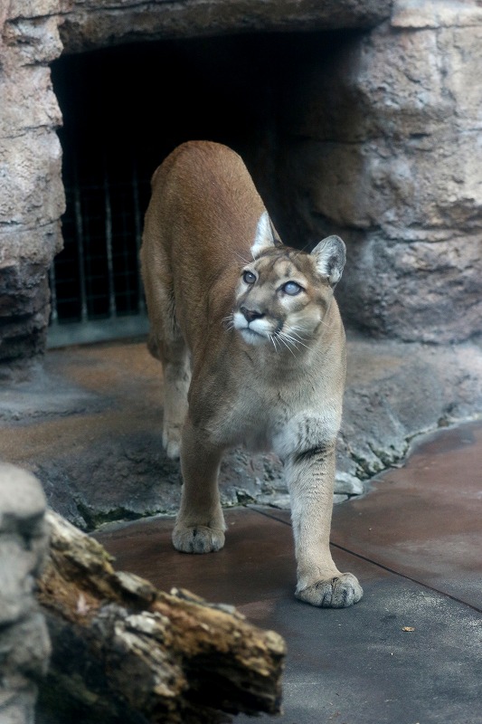 動物園でも行ってみよう　２_d0313140_1255738.jpg