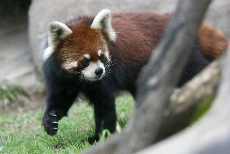 動物園でも行ってみよう　２_d0313140_13104477.jpg