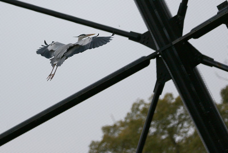 動物園でも行ってみよう　２_d0313140_138760.jpg