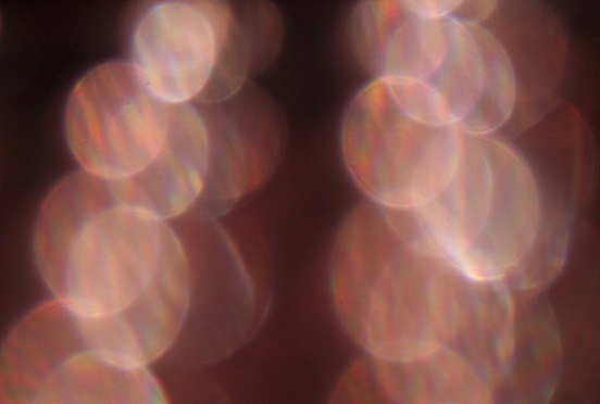 e0126350_1418596.jpg