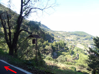 e0033751_18345350.jpg