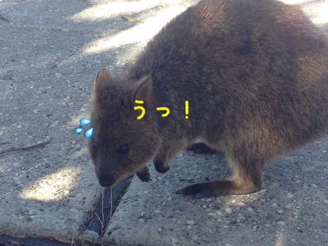 f0304452_21313789.jpg