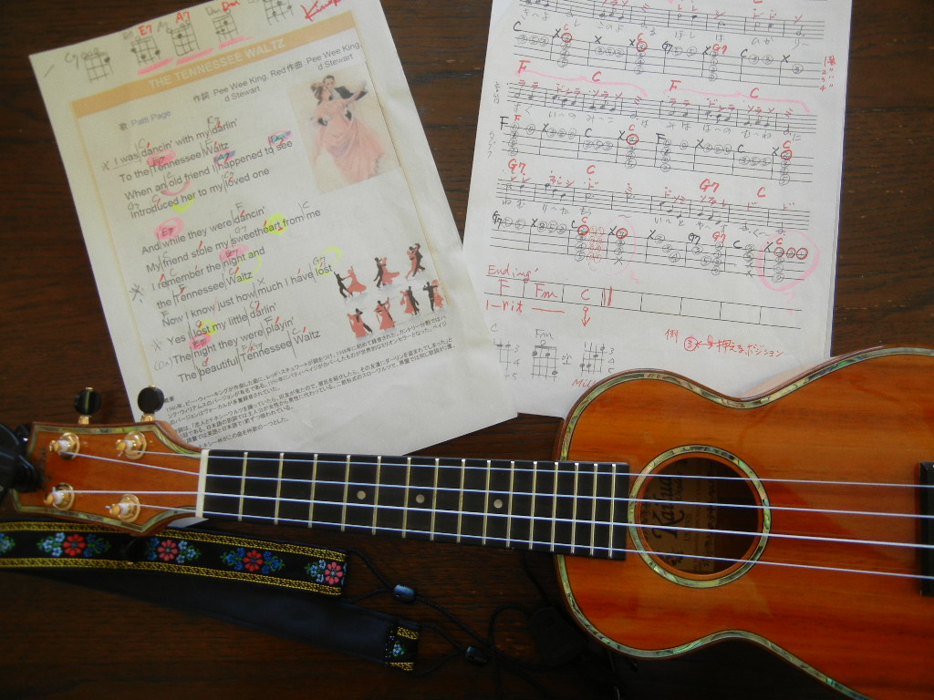 ’15,1,12(月)朝一の散歩とソーキそば!_f0060461_1335303.jpg