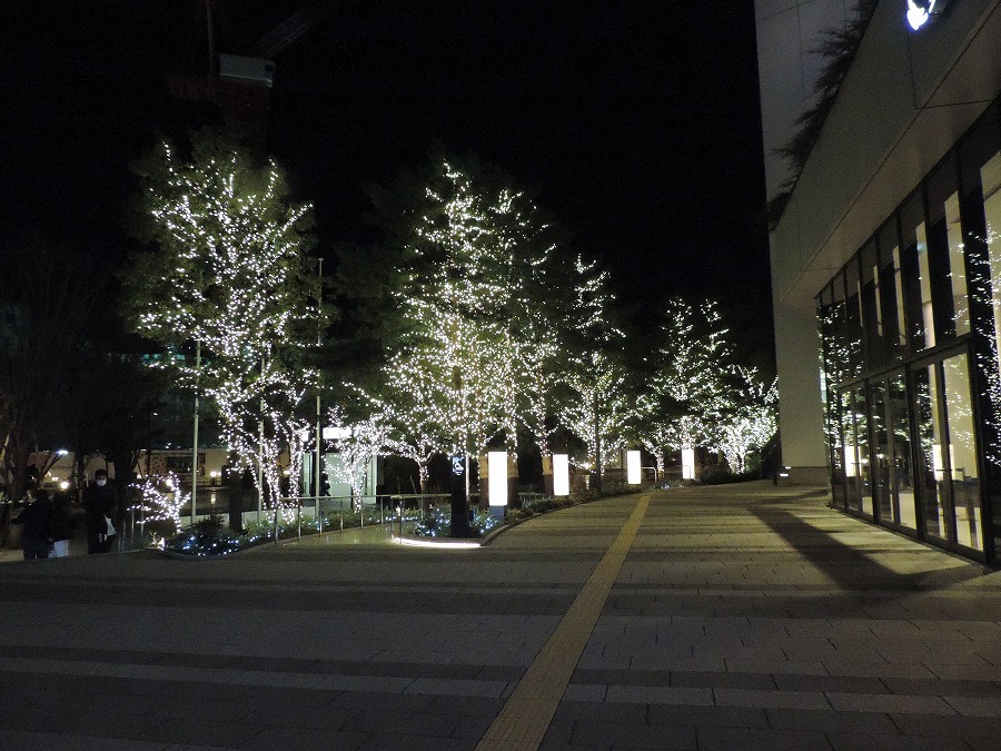 夜の東京スカイツリー_c0187781_06145624.jpg
