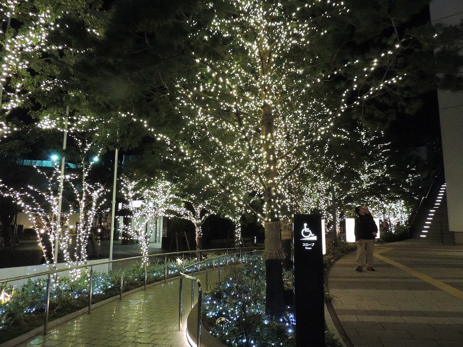 夜の東京スカイツリー_c0187781_06164696.jpg