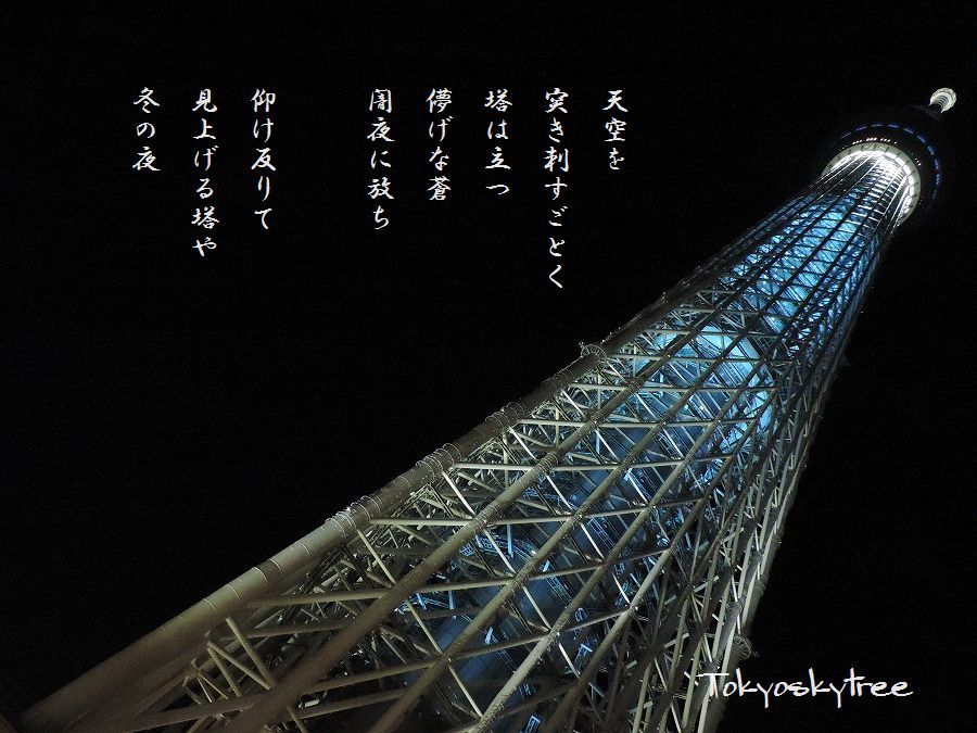 夜の東京スカイツリー_c0187781_09144699.jpg
