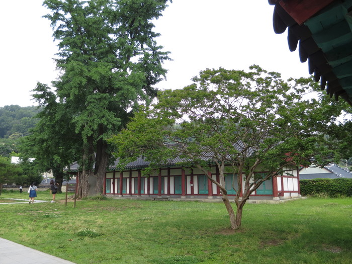 b0042682_20233722.jpg