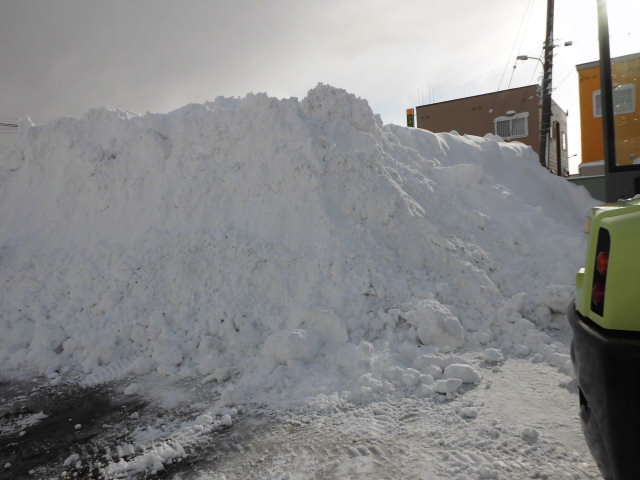 c0219786_1424793.jpg