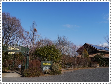 今年初めてのドライブは寒咲菜花を見に_b0175688_17285371.jpg