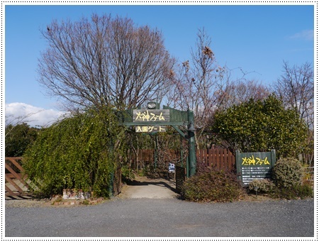 今年初めてのドライブは寒咲菜花を見に_b0175688_17285708.jpg