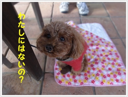 今年初めてのドライブは寒咲菜花を見に_b0175688_17373953.jpg