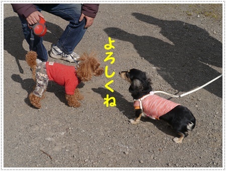 今年初めてのドライブは寒咲菜花を見に_b0175688_17393076.jpg
