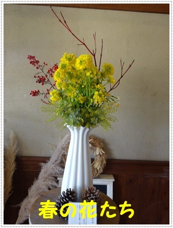 今年初めてのドライブは寒咲菜花を見に_b0175688_18012176.jpg