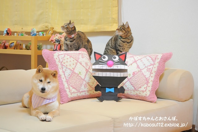 猫だぞ!_a0126590_23092948.jpg