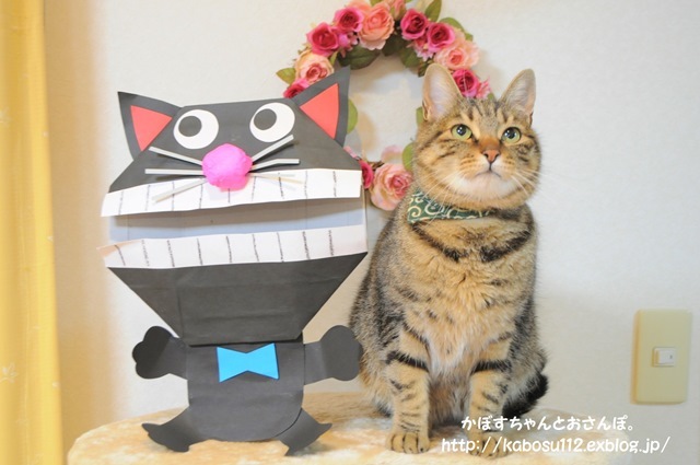 猫だぞ！_a0126590_23115436.jpg