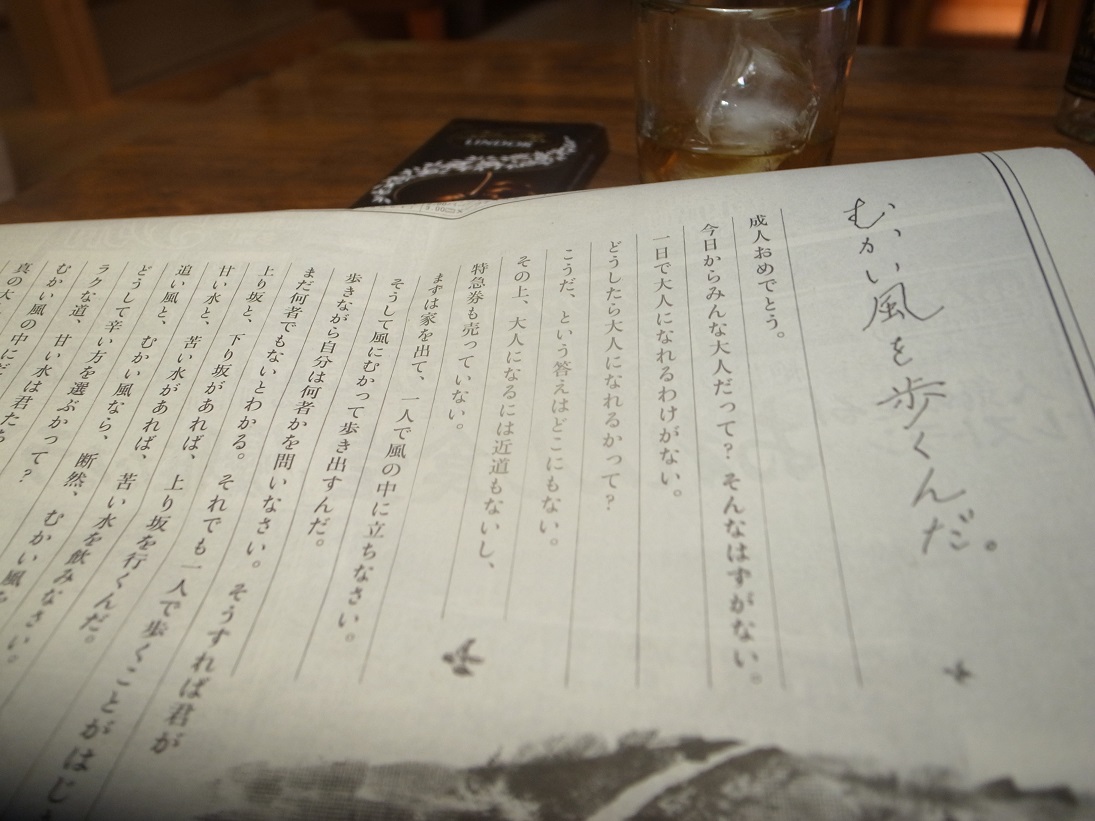 むかい風を歩くんだ。_d0087595_23232481.jpg