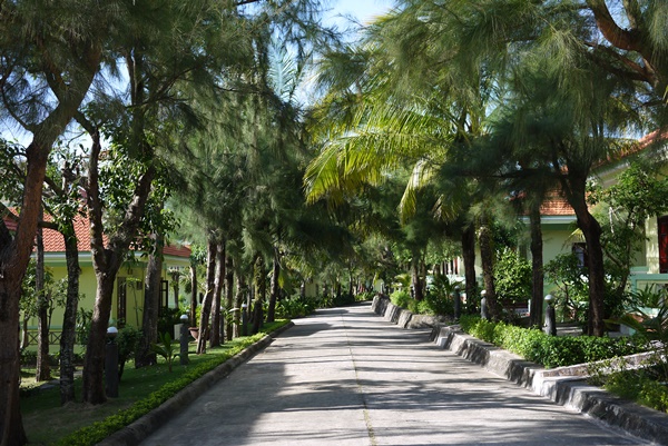 d0133704_13562783.jpg