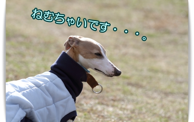 e0100007_22101358.jpg