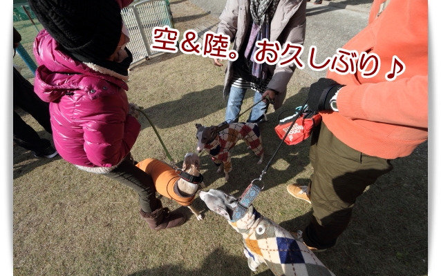 e0100007_2284535.jpg